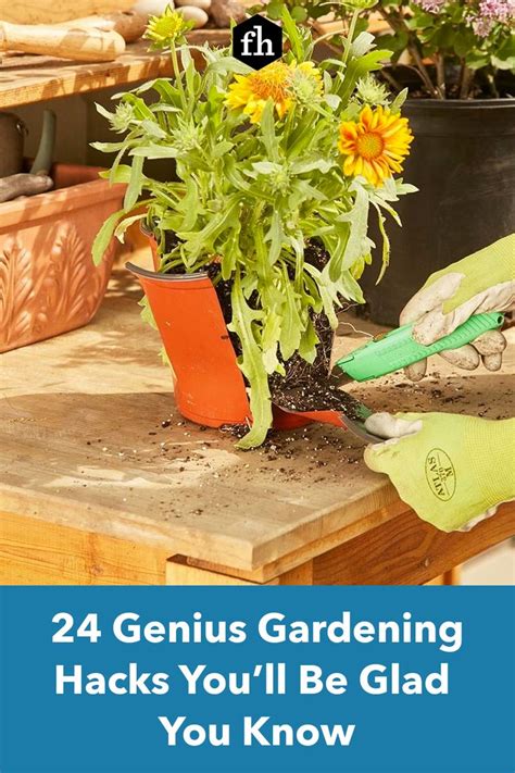 24 genius gardening hacks you ll be glad you know gardening tips landscaping tools lawn edging