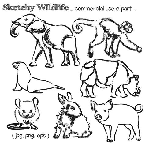 Printable Zoo Animals Clipart Black And White 14 Animals Clipart