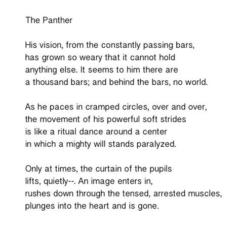 The Panther Rainer Maria Rilke Amazing Poem Used Perfectly In The