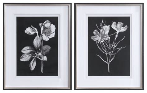 Black And White Flowers Botanical Framed Artwork Prints 2 Piece Set