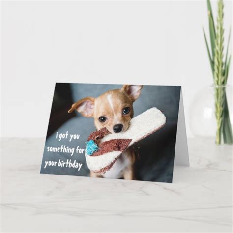 Funny Chihuahua Birthday Cards Zazzle Ca