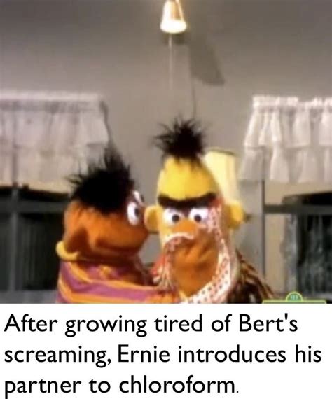 The Best Bert And Ernie Memes Memedroid