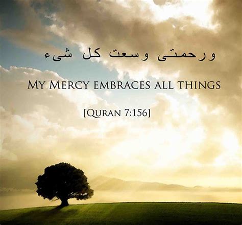 Quran Quotes. QuotesGram