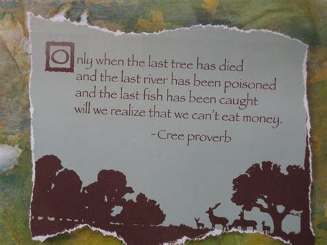 Wise Cree proverb | Native american proverb, Proverbs ...