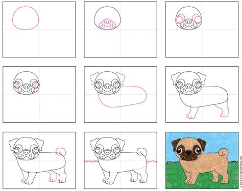 Https://tommynaija.com/draw/step How To Draw A Pug