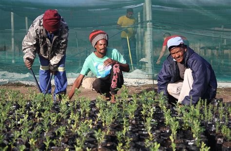 Why Nedbank Has Invested More Than R264 Million in Conservation Projects