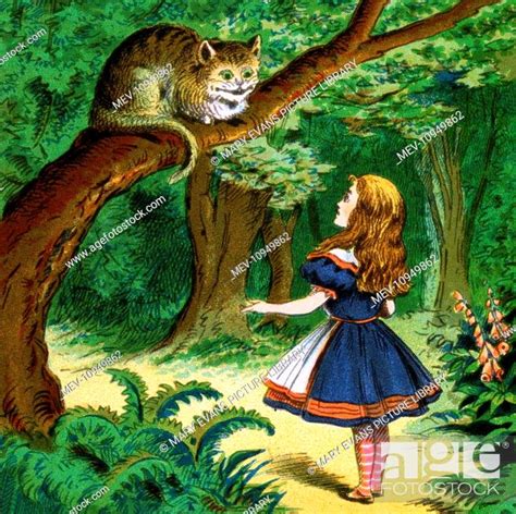 Alice In Wonderland Alice Has A Conversation With A Cheshire Cat