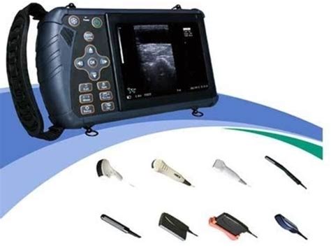 Best Ultrasound Machine For Cattle Jiangsu China Dawei Veterinary