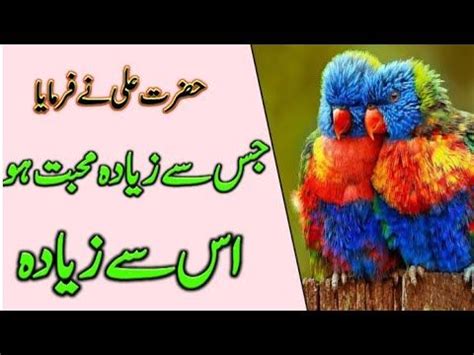 Hazrat Ali Heart Touching Quotes In Urdu Hazrat Ali Ki Pyari Baatain