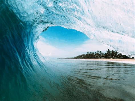5,640 gif background stock video clips in 4k and hd for creative projects. gifswavescrashingmovingbeachparadise GIF by Matt M