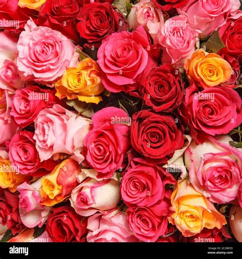 Pink And Red Rose Flowers Bouquet Colorful Romantic Decoration Of