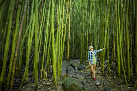 Why Bamboo Flooring May Not Be Your Best Option Seer Flooring