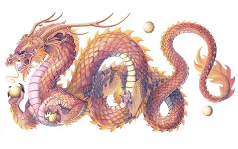 Fantasy Dragon Oriental Chinese Dragon Wallpaper Chinese Dragon Art
