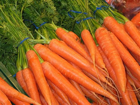 Free Photo Carrots Federal Carrots Food Free Image On Pixabay