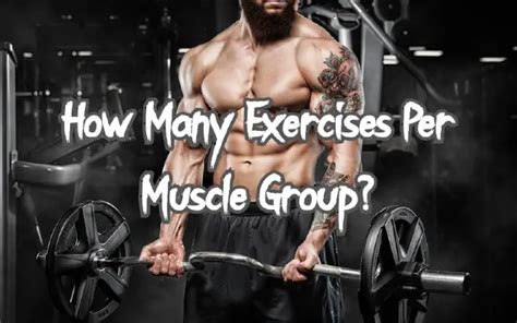 how many exercises per muscle group should i be doing