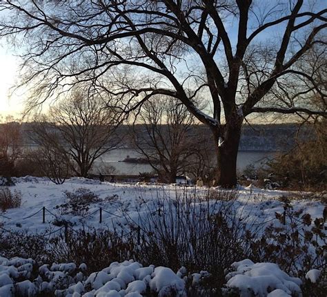 How Plants Survive Winter In Fort Tryon Park With Author Leslie Day