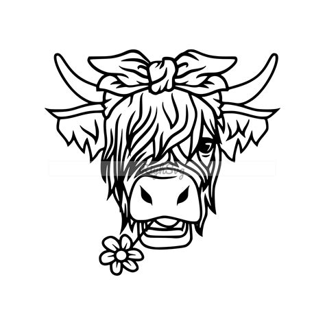 Highland Cow Coloring Pages - Coloring Home