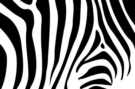 Zebra background Free vector in Encapsulated PostScript ...