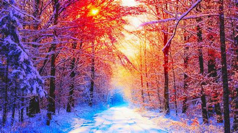 Winter Pictures Backgrounds ·① Wallpapertag