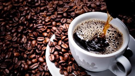 Gambar 10 tanda kerennya sebuah kedai kopi kopikini coffee. 5 Cara Supaya Kebiasaan Minum Kopi Kamu Makin Sehat