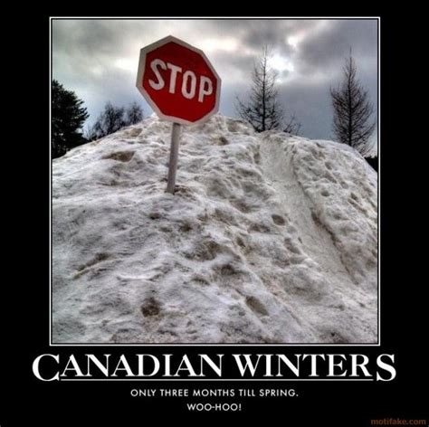 Brrrrrr Canada Funny Canadian Winter Canadian Things