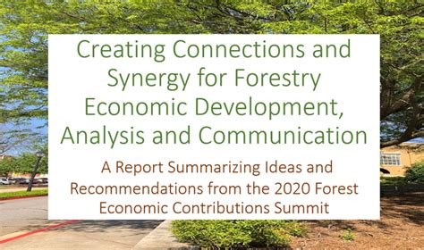 Creating Connections And Synergy For Forestry Economic Development