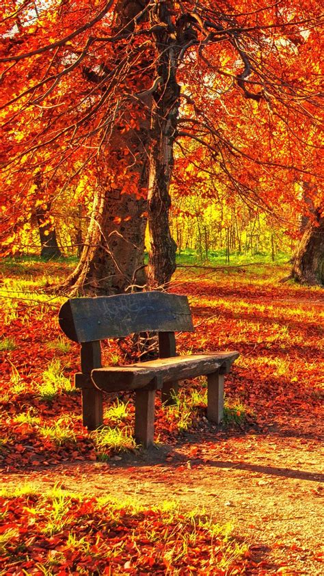 Download Wallpaper 1080x1920 Bench Autumn Park Foliage Samsung