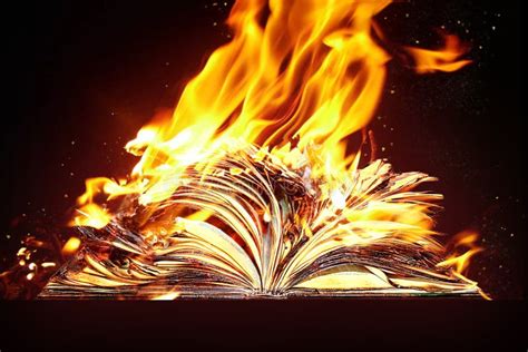 Burned Book And Fire Stock Photo Image Of Flame Booknburned 116174996