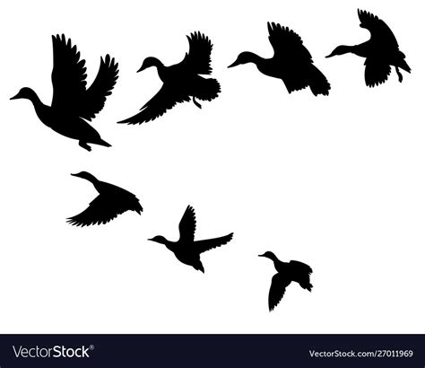 Flock Ducks A Cartoon Birds Royalty Free Vector Image