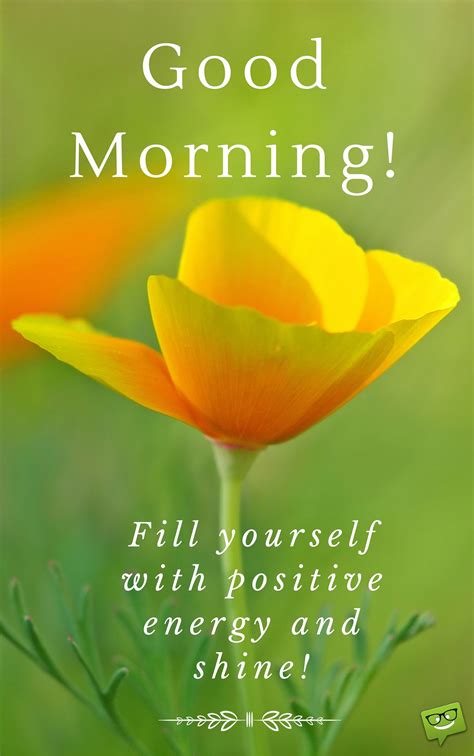 A New Day Starts! - Good Morning Pics | Good morning quotes, Good morning messages, Good morning 