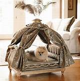 Photos of Designer Pet Beds For Dogs