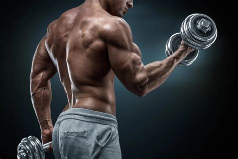 Top 4 Rear Delt Exercises Grow Strong And Healthy Shoulders