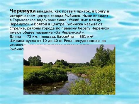Вода. Реки и водоемы Ярославской области - презентация ...