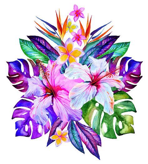 Royalty Free Tropical Flower Clip Art Vector Images And Illustrations