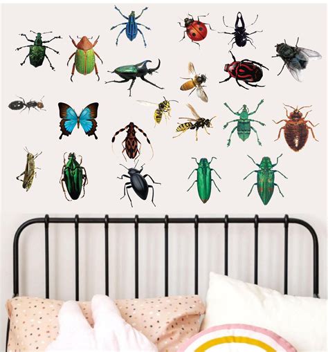 Insects Bugs Wall Decal Art Decor Taxidermy Art Playroom Wall Etsy