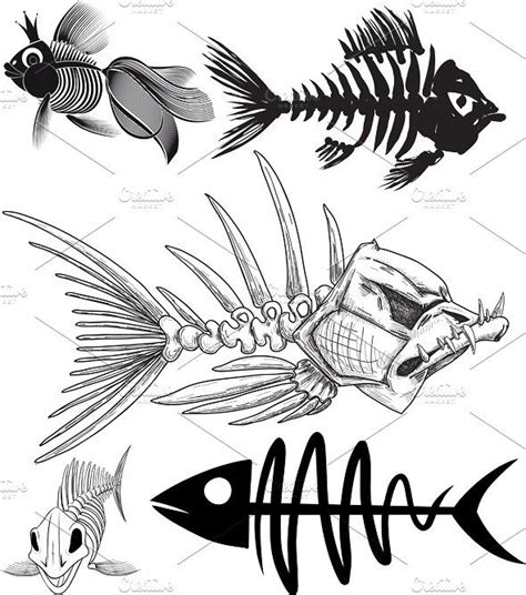Skeleton Of Five Different Fish Fish Drawings Skeleton Drawings