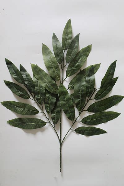 Artificial Mango Leaves For Sale