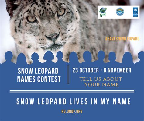 Snow Leopard Lives In My Name Contest United Nations Development