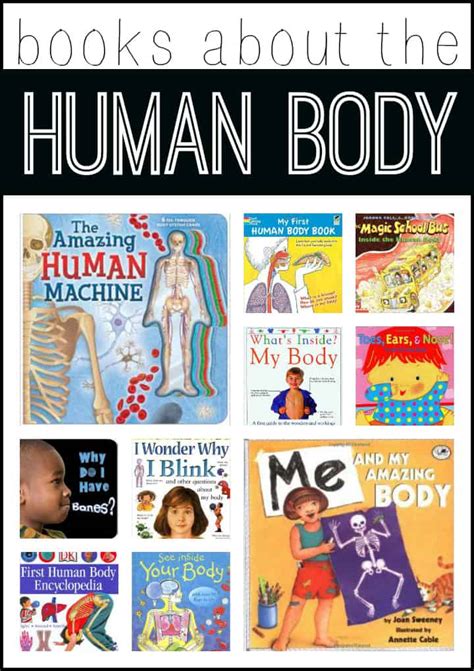 Books About The Human Body I Can Teach My Child