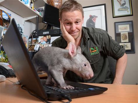 Baby Wombat Kenny Is An Affectionate Playmate For Australian Reptile