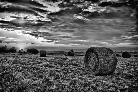 Hay Field At Sunset Landscape Photography Piedmont