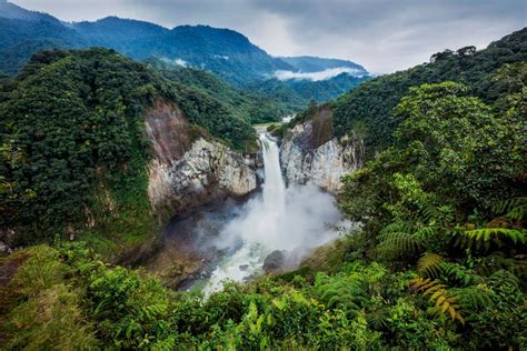 The Amazon is turning into savannah – we have 5 years to save it | New