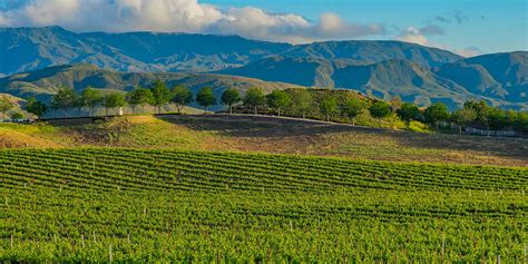 Skiing and wine country tourism too! Temecula Wine Country | AZ Food and Wine