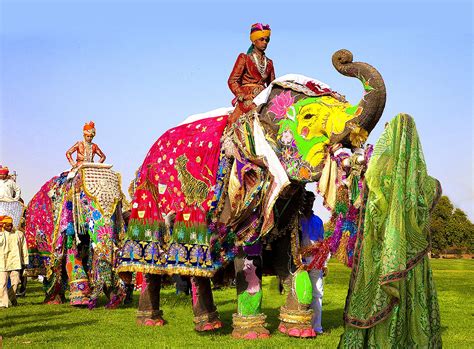 Elephant Festival In India Jim Zuckerman Photography And Photo Tours