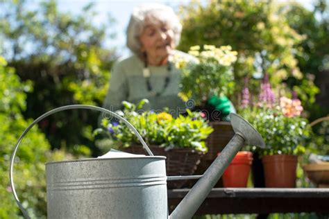 Senior Woman Gardening At Home With Watering Can In Foreground Stock