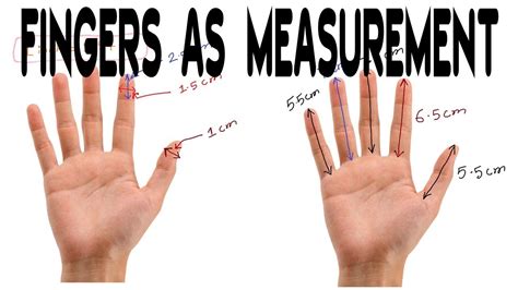 Your Fingers As Measurement Very Helpful In Measuring Body Structures