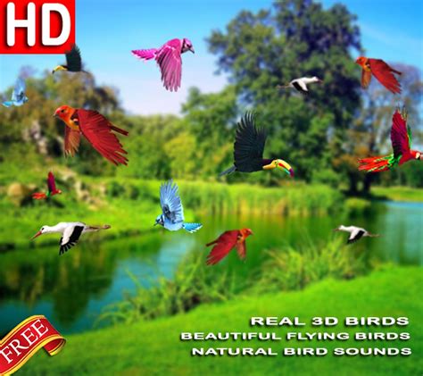 Albums 93 Pictures Wallpaper With Birds And Trees Stunning 102023