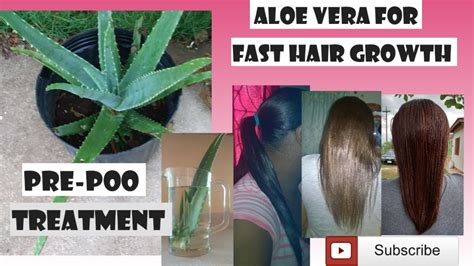 how to use aloe vera for fast hair growth pre poo treatment youtube