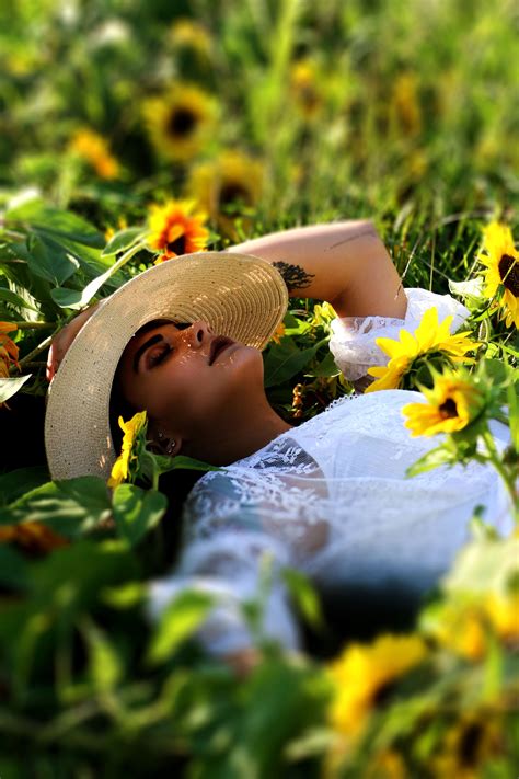 Sunflower Field Portrait Portraiture Photography Sunflower