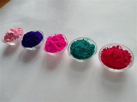 Natural Holi Color Powder Color Powder Gun Party Powder Etsy